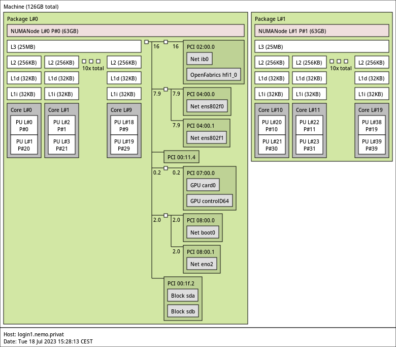 Hardware topology on Nemo